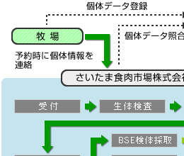 安全な牛肉が届くまで