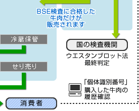 安全な牛肉が届くまで